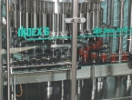 IND-DOSE
